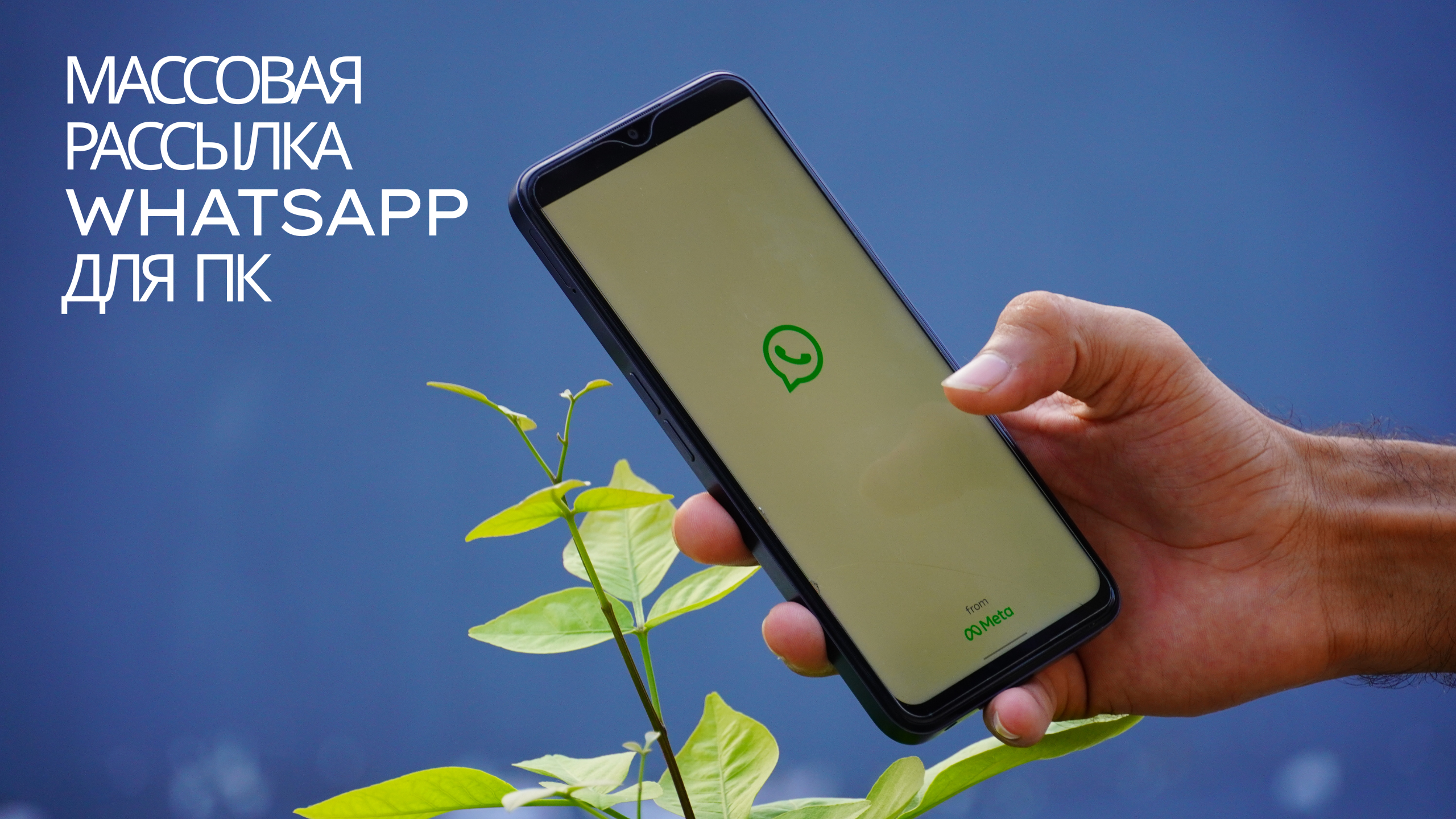 Массовая рассылка WhatsApp для ПК